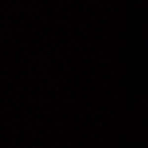 Meet your Posher, Devin